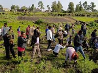 የኢትዮጵያ  ብዝሀ ሕይወት  ኢንስቲትዩት አመራሮችና ሰራተኞች በሸገር ክፍለ ከተማ በቱሉዲምቱ የአረንጓዴ አሻራ መርሀ-ግብር አከናወኑ